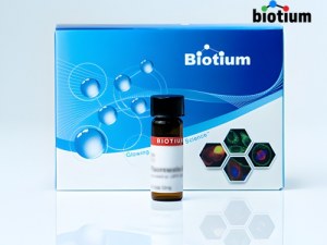 Werkzeuge zur Erkennung der Zellviabilität und Apoptose