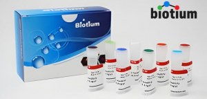 Sparen Sie 30 % auf Reagenzien von Biotium Life Science