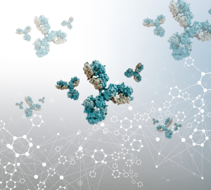 Chemical synthesis of VHHs: Advanced therapeutic formats