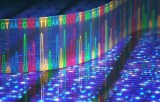 RT-MLPSEQ: A new technology to characterize cancers Gene expression and fusion transcripts
