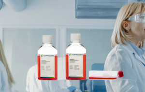 Vero Expression Cell Culture Medium