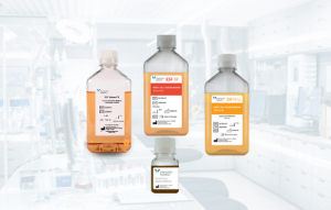Insect Expression Cell Culture Medium