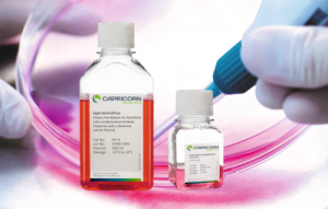 Hybridoma Expression Cell Culture Medium