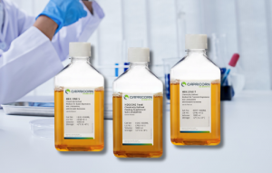 HEK Expression Cell Culture Medium