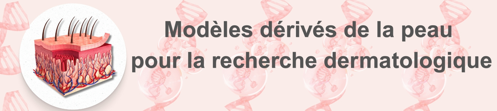 /upload/dermato-fr-trsvgh.jpg