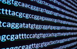 RT-MLPSEQ : une technologie novatrice pour le Séquençage d'ARN