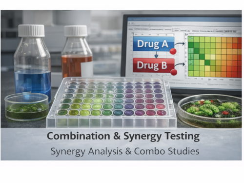 Combination synergy testing heatmap or matrix