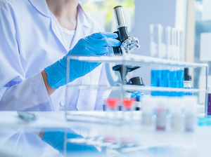Production et purification de protéine en système procaryote