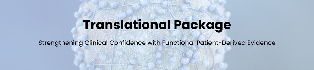 Translational Package promotion – patient-derived tumor models