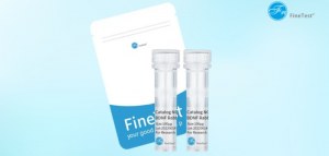Économisez 25 % sur les anticorps de cytométrie en flux de FineTest !